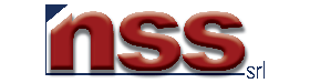 NSS logo